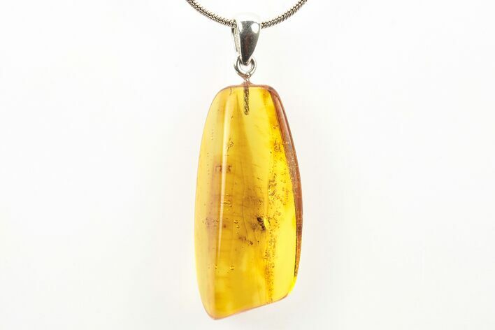 Polished Baltic Amber Pendant (Necklace) - Contains Ant! #273408